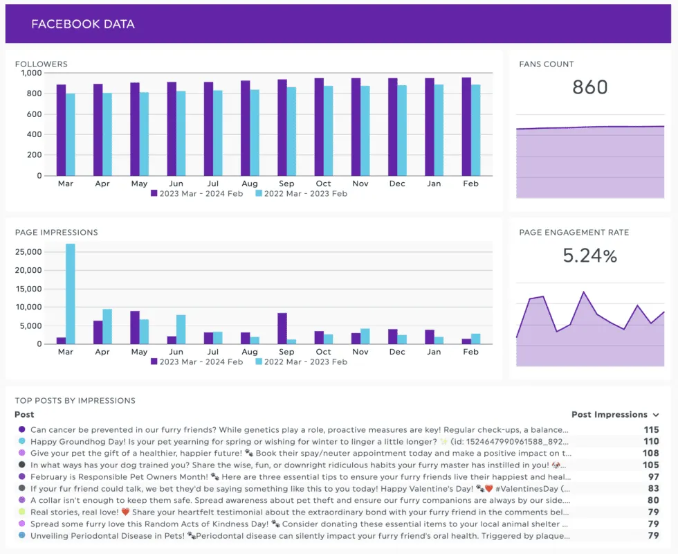 image3-facebook-analytics-dashboard-view-1-980x800-1.webp